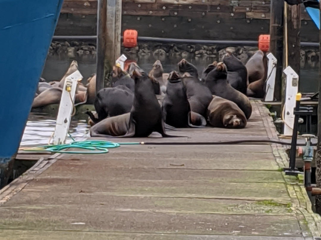 Westport Maritime Museum-Westport必去景点