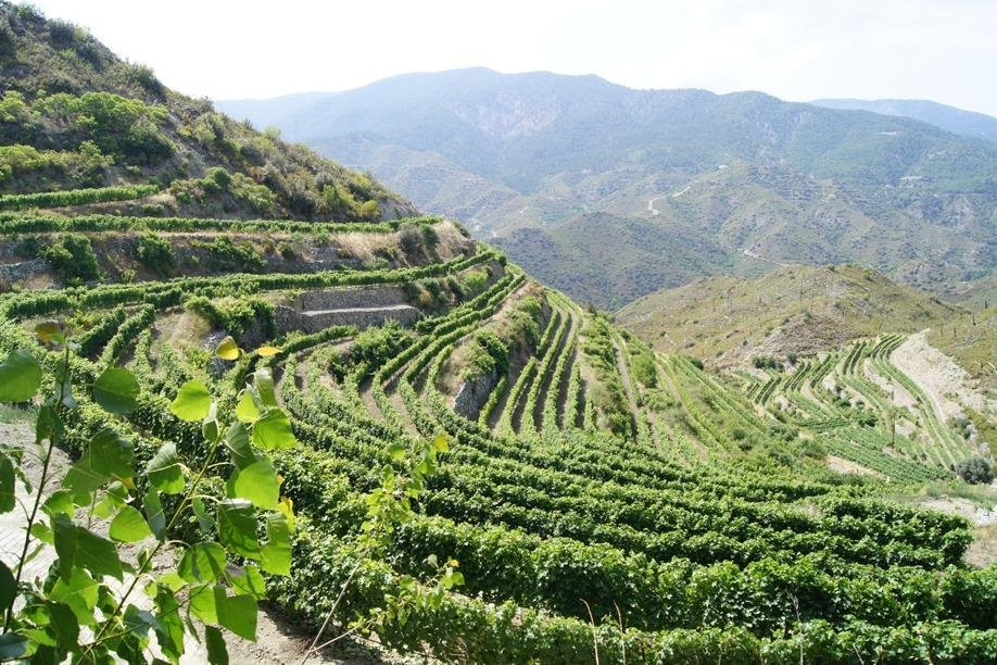 Trackers Excursions, Cyprus-普它肋斯必去景点