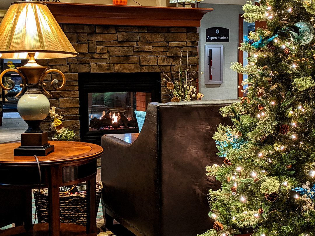 Aspen Suites Rochester主图