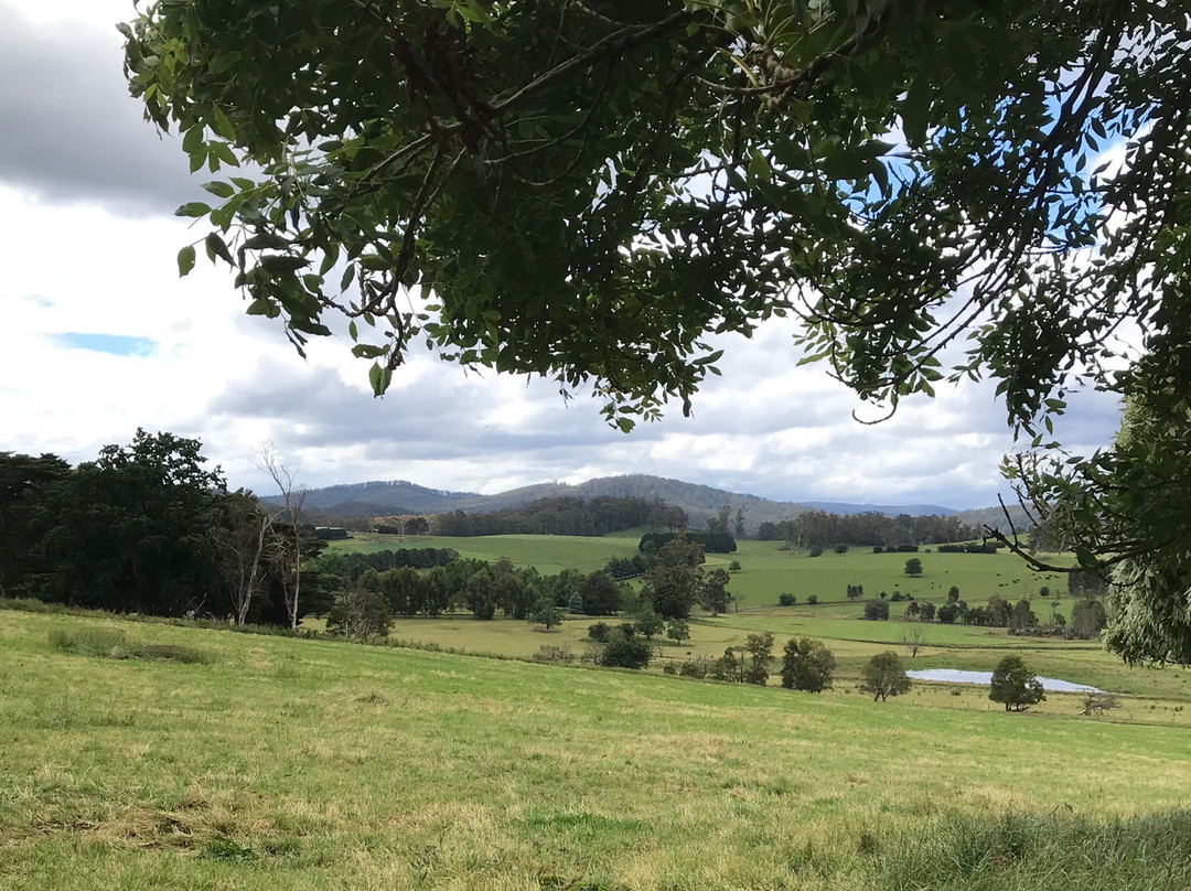 St James Anglican Church-Jindivick必去景点