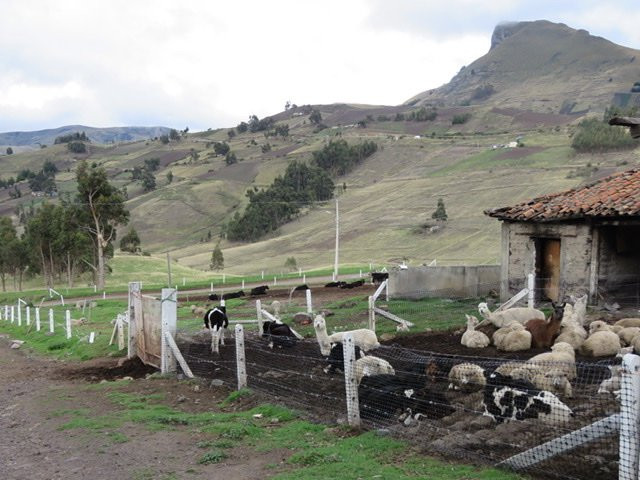 Posada De Tigua主图