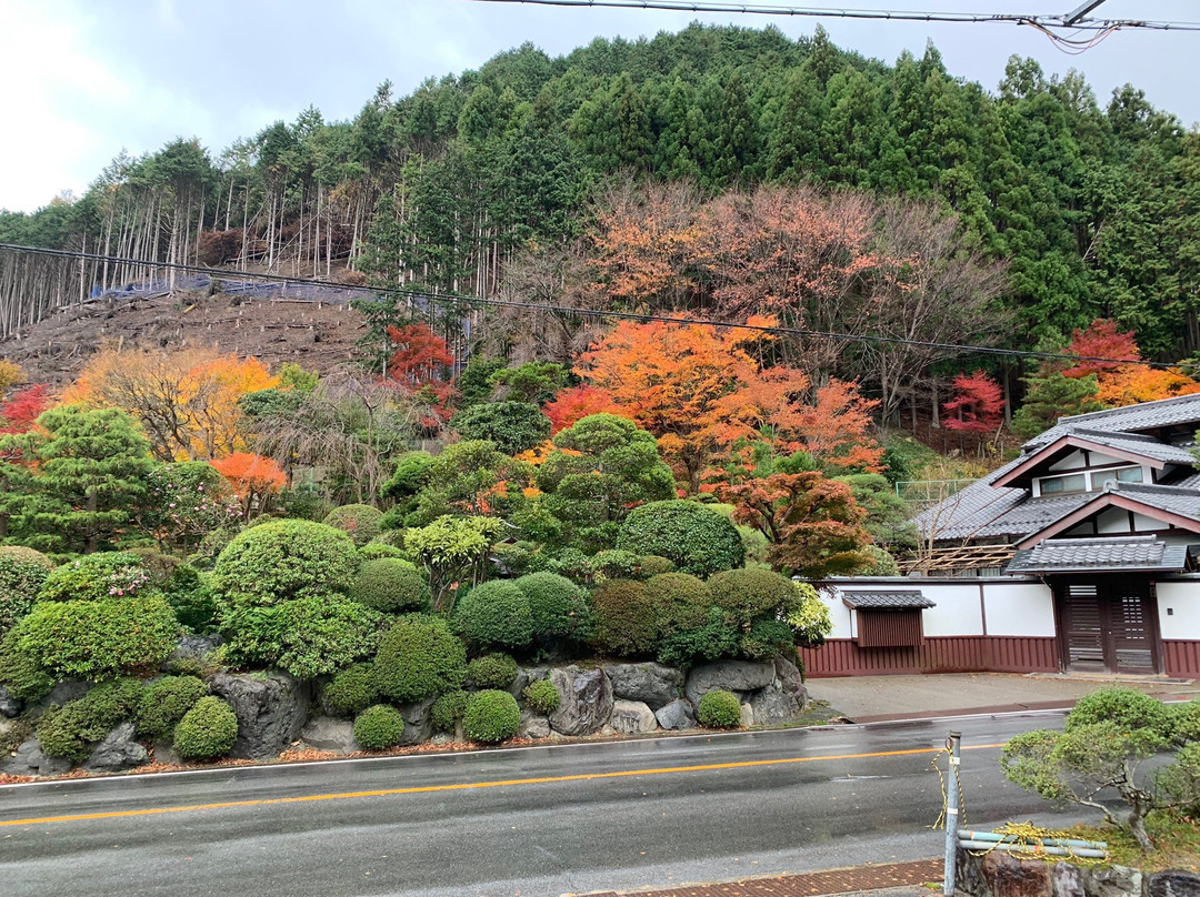 Kyoto Adventures-京都市必去景点