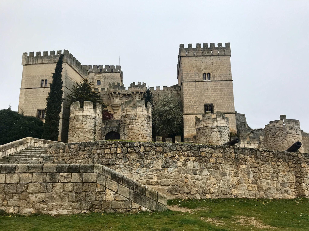 Castillo de Ampudia景点图片