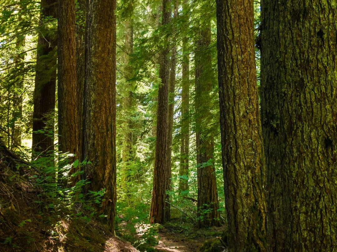 Proxy Falls-Sisters必去景点
