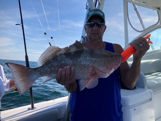 Reel Fish N Sea Deep Sea Fishing Charters-迈尔斯堡海滩必去景点