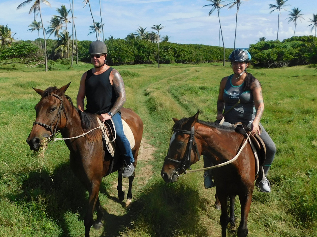 Jahworks Stable-Saint Peter Parish必去景点