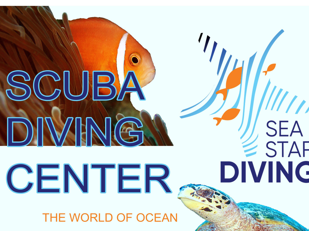 Sea Star Diving Center Thulusdhoo