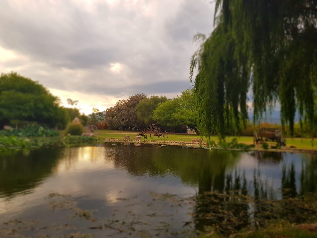 Posada del Olivo-家庭/游戏区