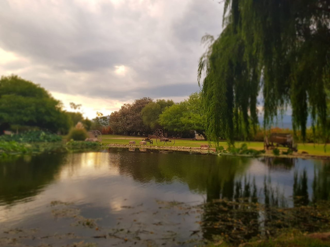 Posada del Olivo主图