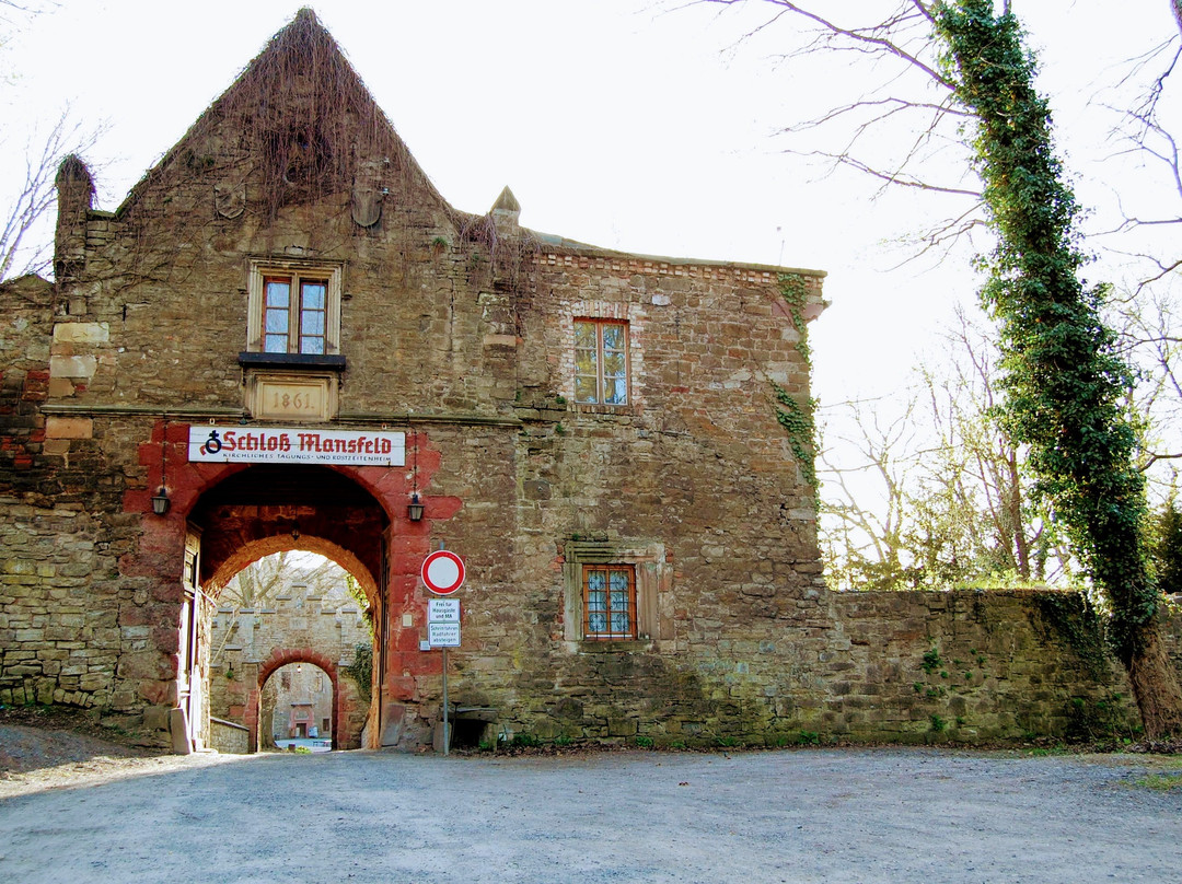 Förderverein Schloss Mansfeld景点图片