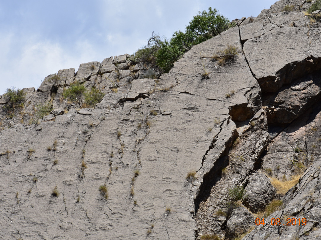 Tursunzade旅游攻略图片