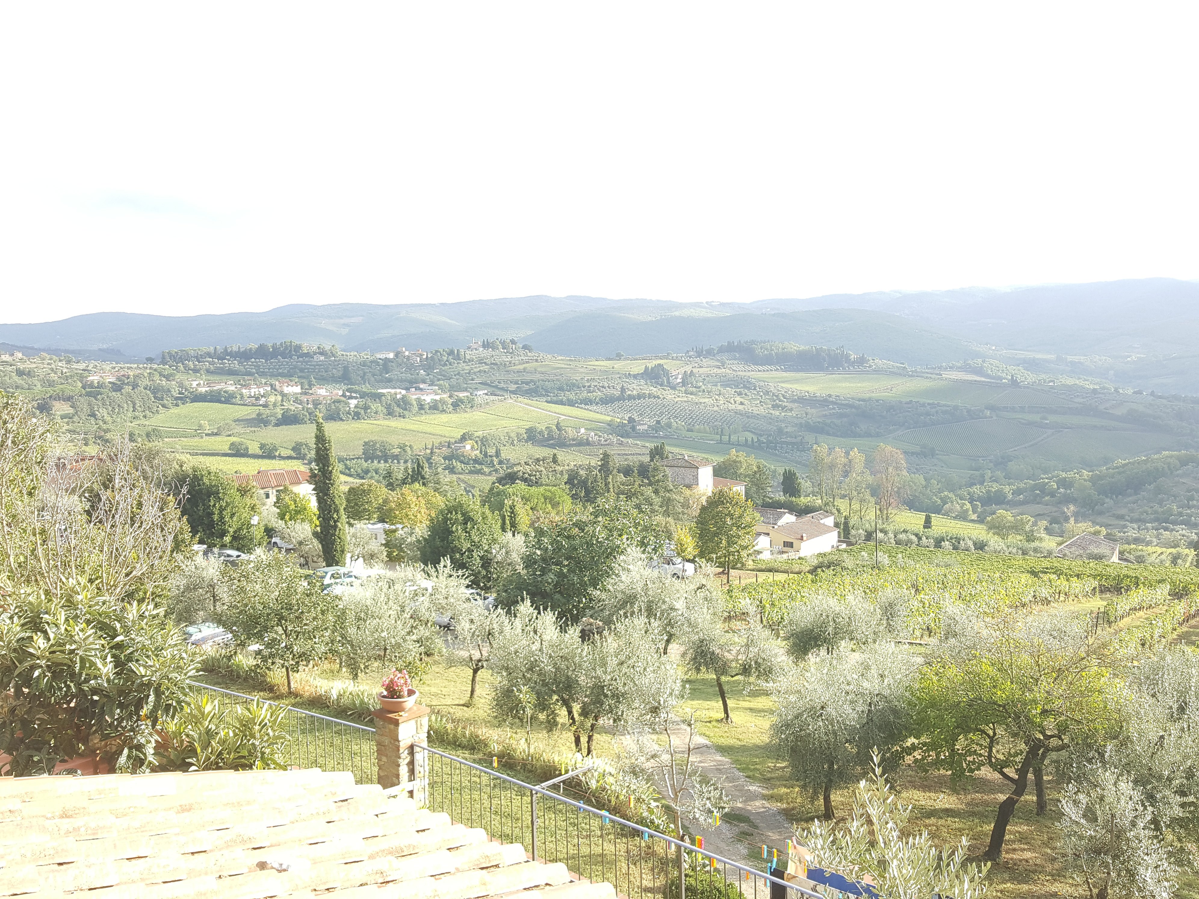B&B Rosso del Chianti-酒店景观