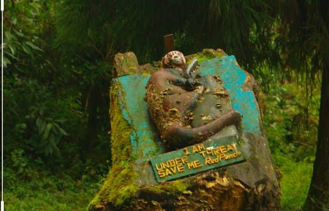 Himalayan Zoological Park-甘托克必去景点