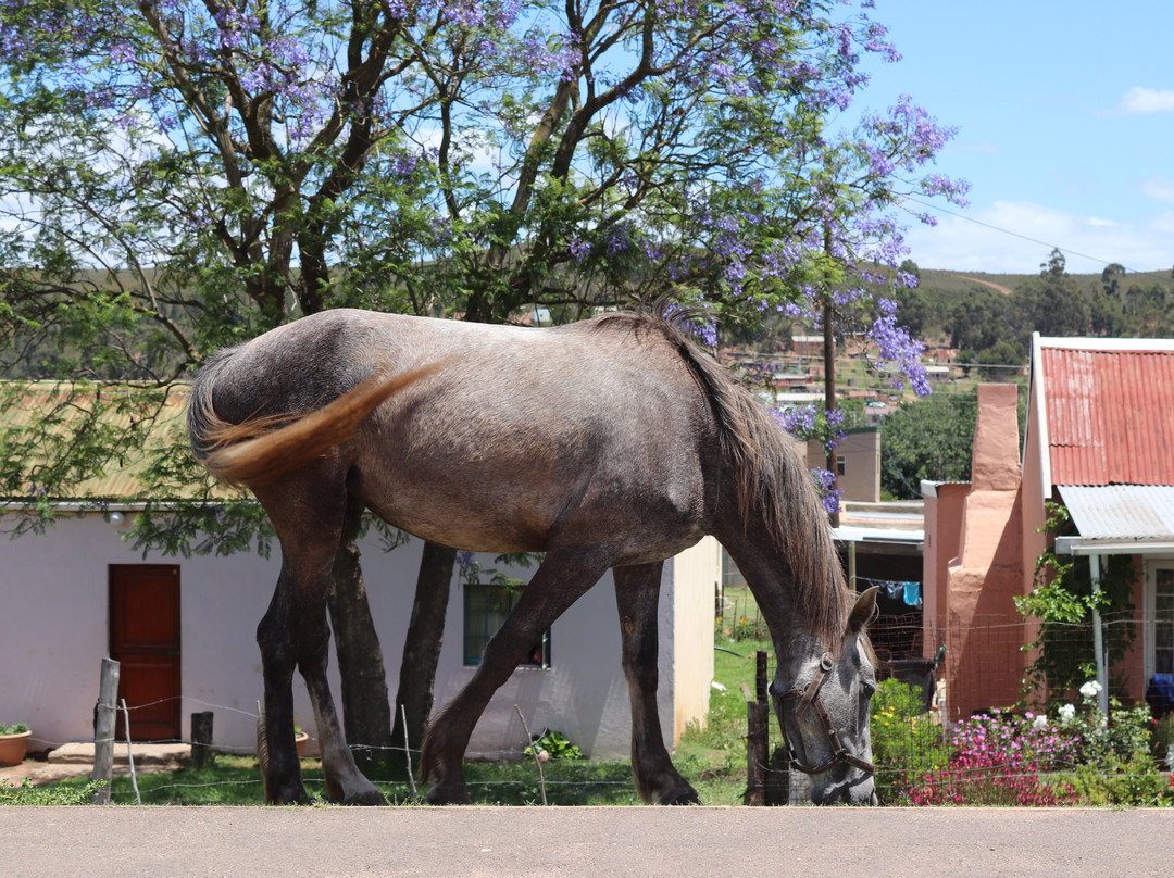 Genadendal Mission Museum-Genadendal必去景点