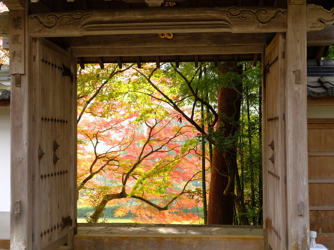 Myoshu-ji Temple-龟冈市必去景点