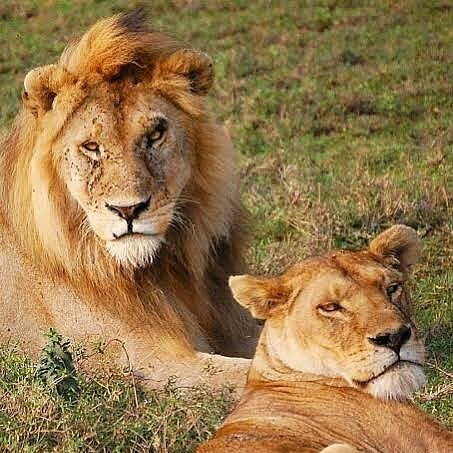 Mangokili Adventures-阿鲁沙必去景点