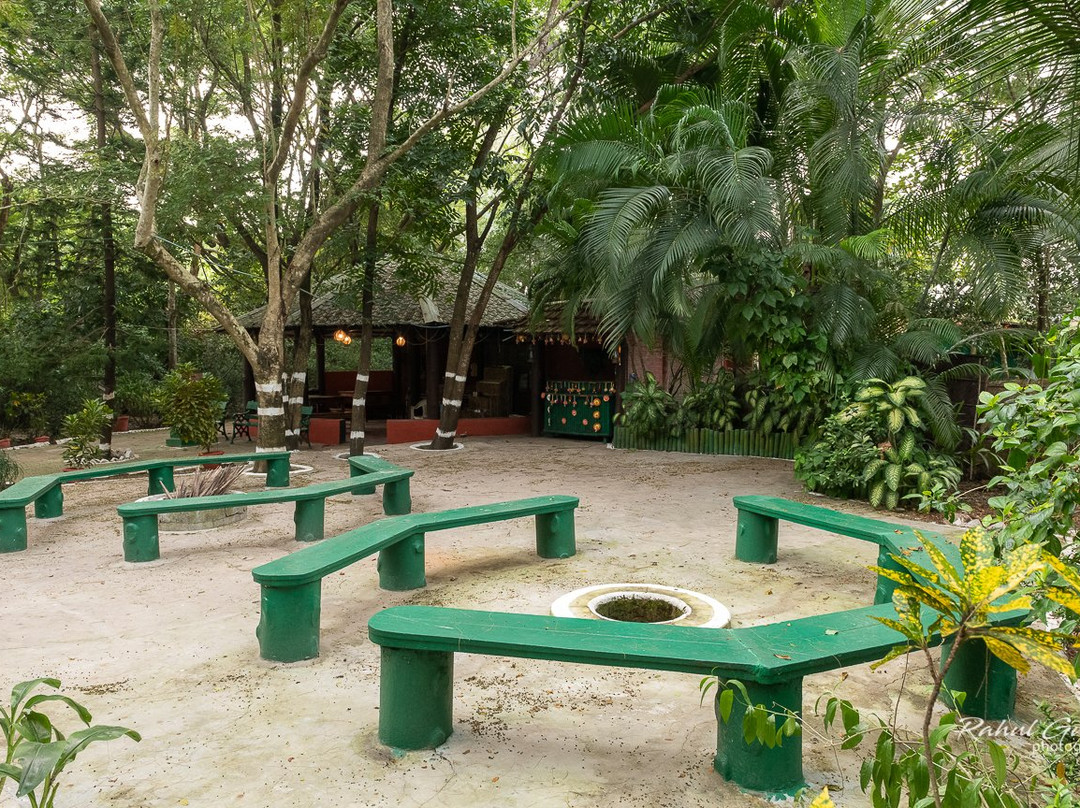 Sunderban Tiger Camp主图