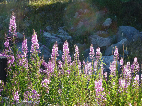 Turgenskoye Gorge-Turgen必去景点