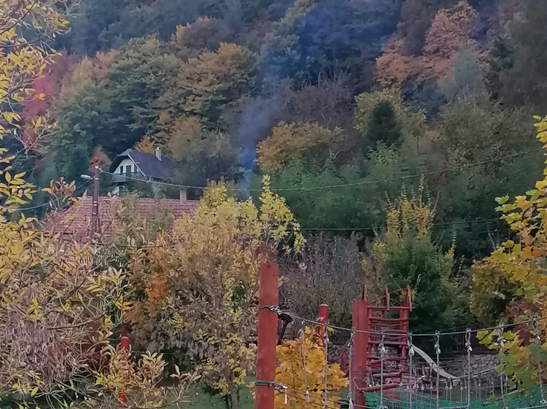 Aranybanya Hotel主图