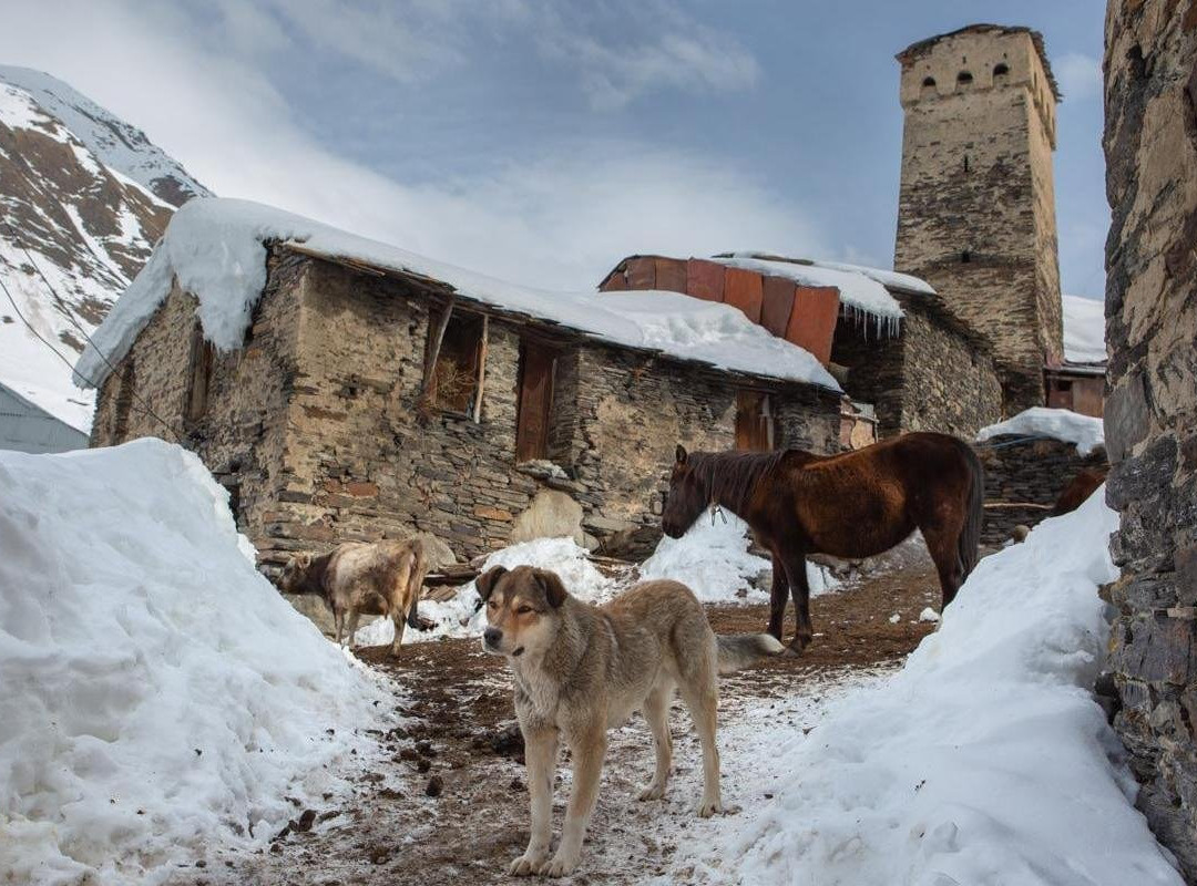 Experience The Caucasus-Omalo必去景点