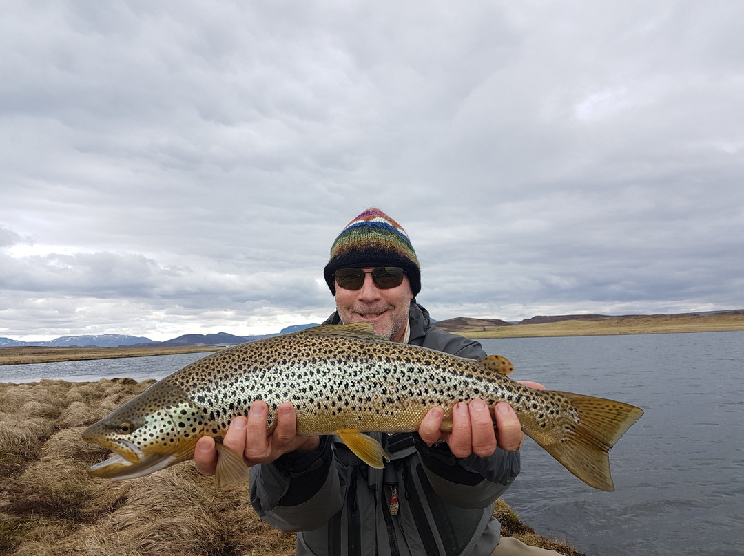 Go Fishing Iceland-科帕伏古必去景点