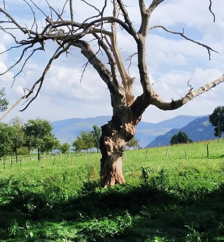 Rio Gandara-Ason必去景点