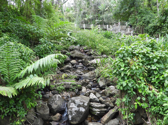 Puerto Rico Access Tours-圣胡安必去景点