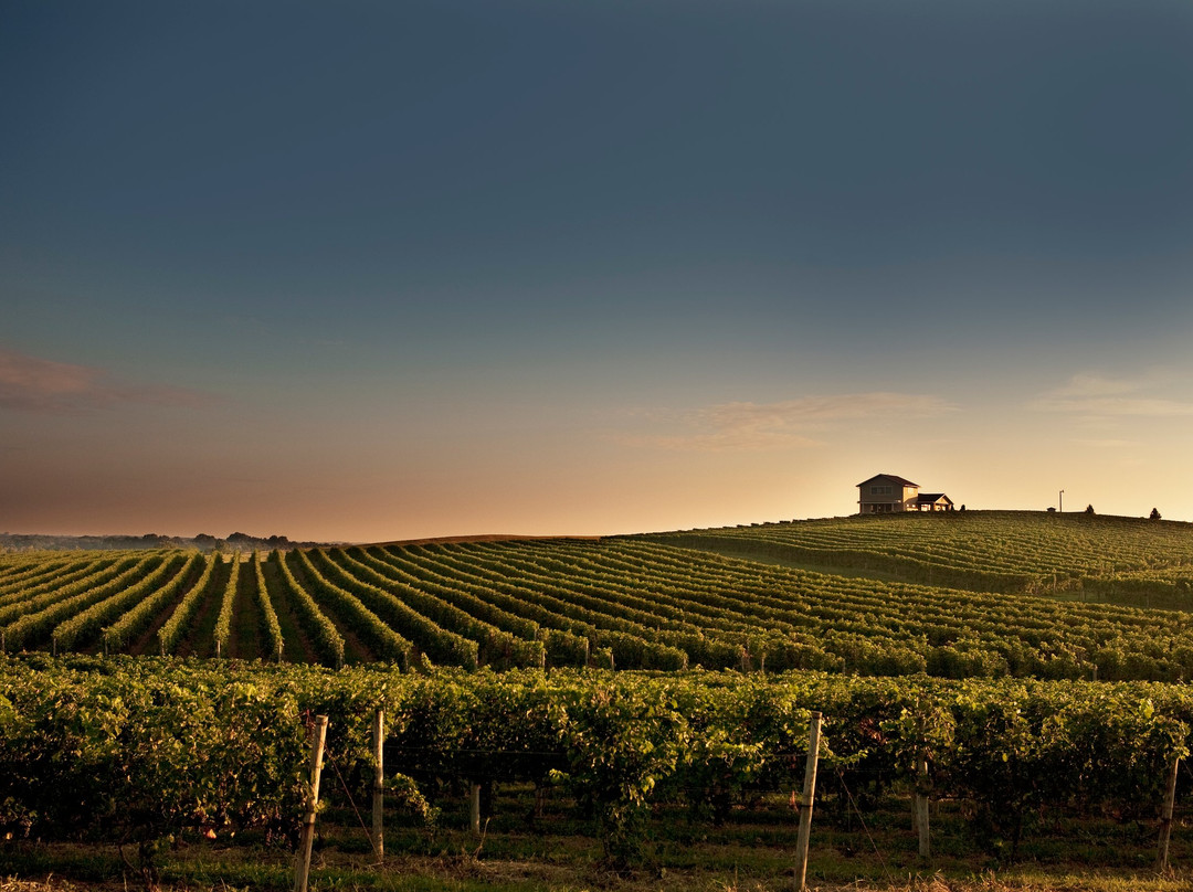 Karma Vista Vineyards-Coloma必去景点