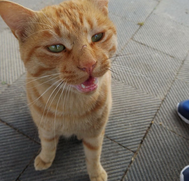 Jangja Lake Park-九里市必去景点