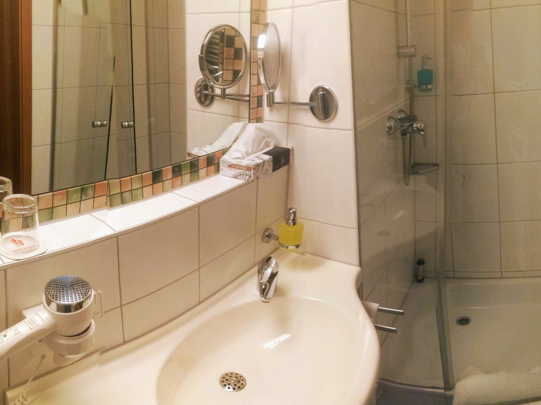 Hotel Romer Garni主图