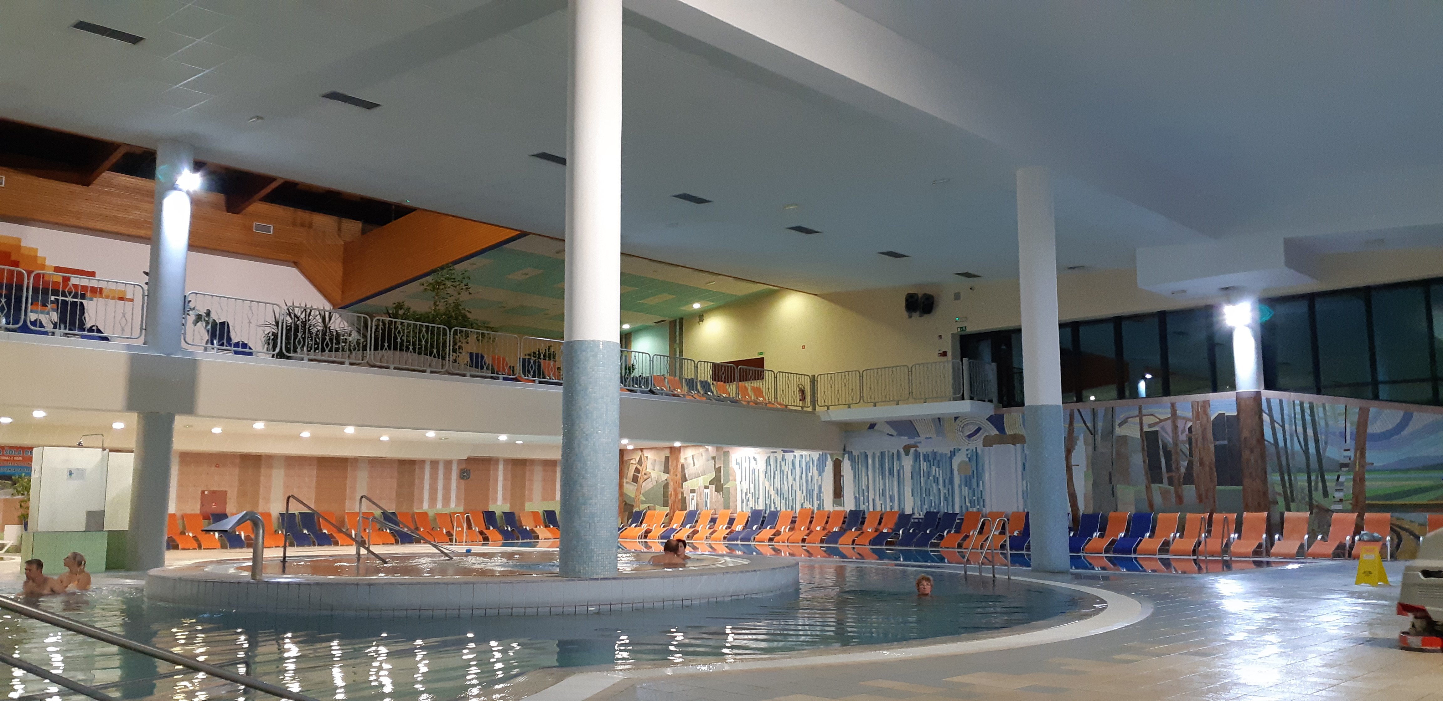 Hotel Bioterme-泳池