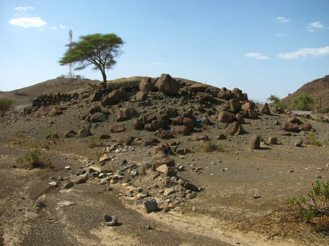 Ziggurat in Arja景点图片
