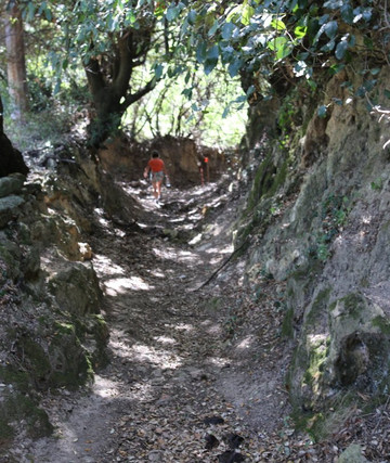 Le tombeau des Rivarola-Oletta必去景点