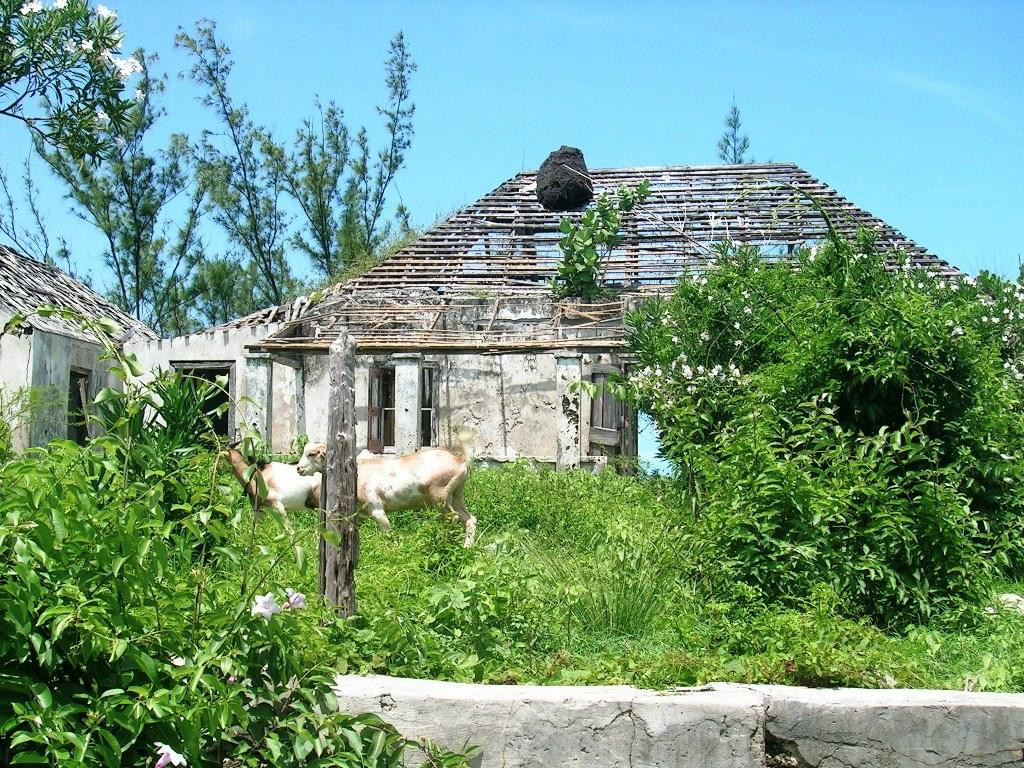 The Hermitage Estate景点图片