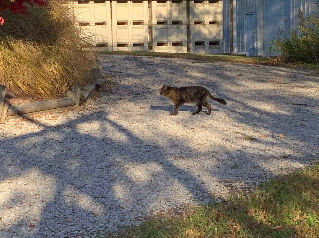 James Arthur Vineyard-Raymond必去景点