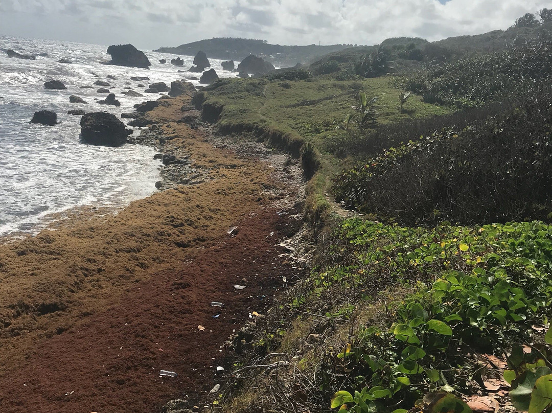 The Barbados Railway-布里奇顿必去景点