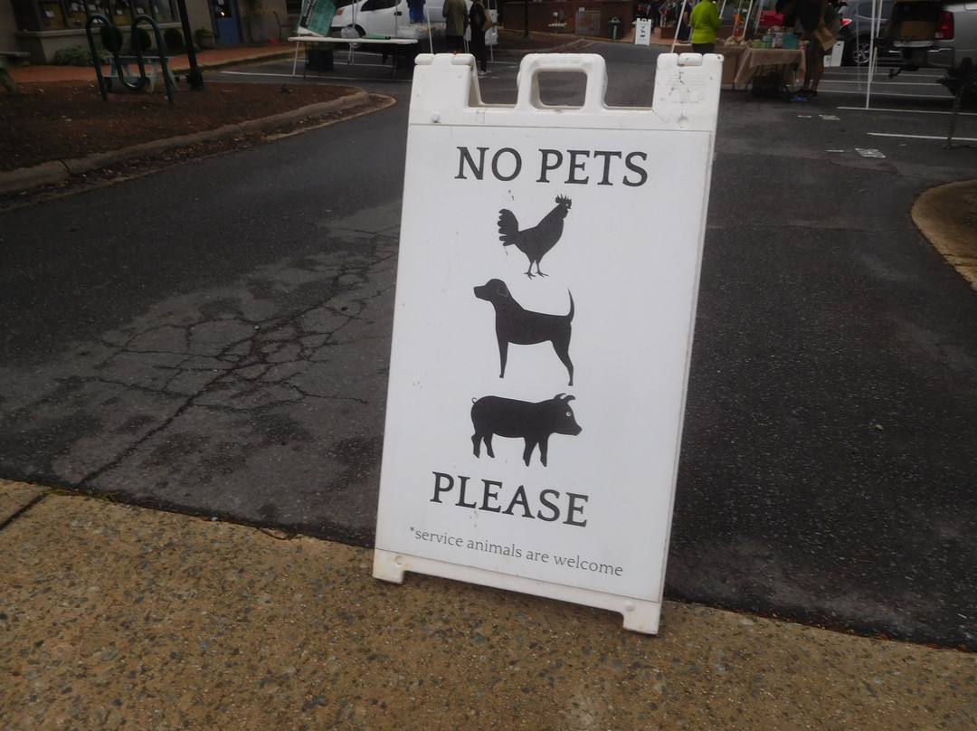 Davidson Farmer's Market-Davidson必去景点