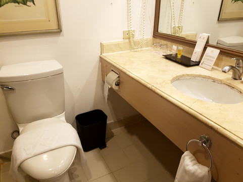 水畔岛屿酒店主图