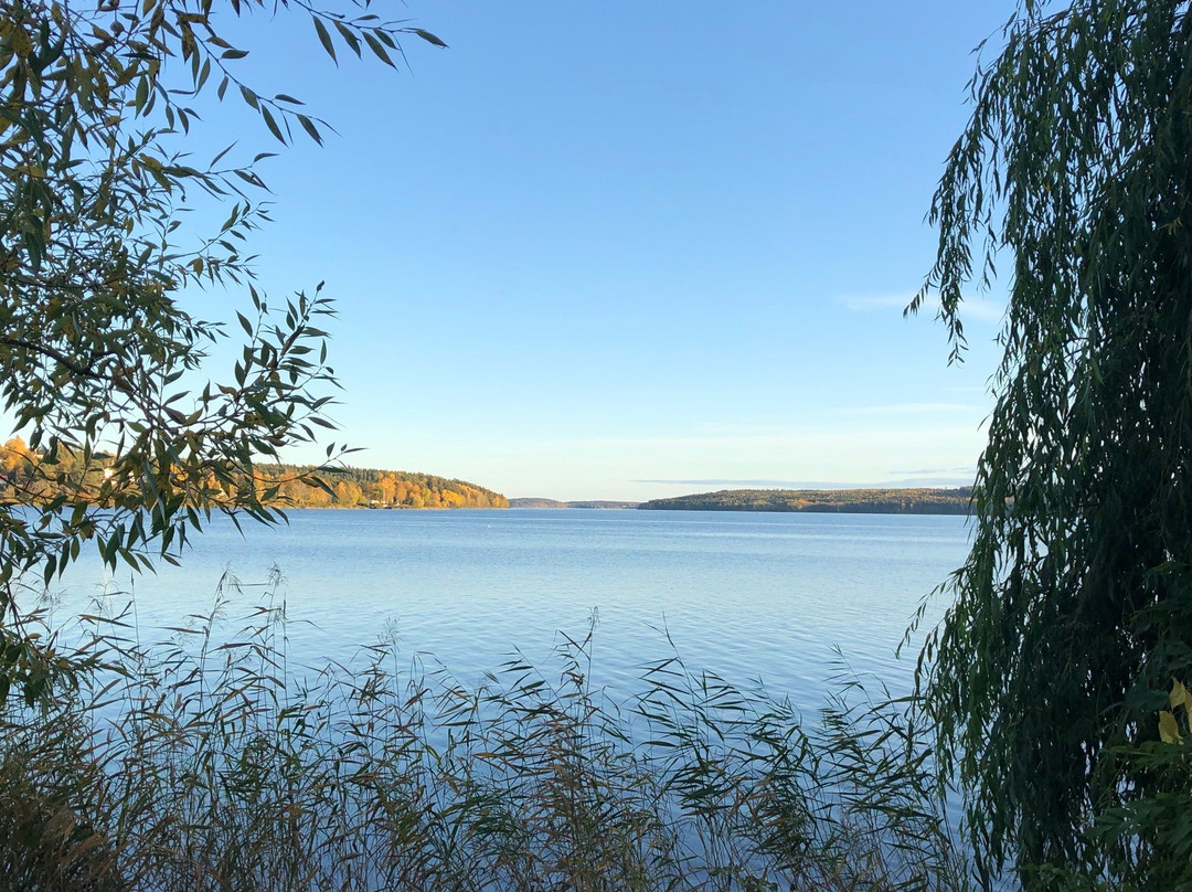 Sigtuna Boardwalk景点图片