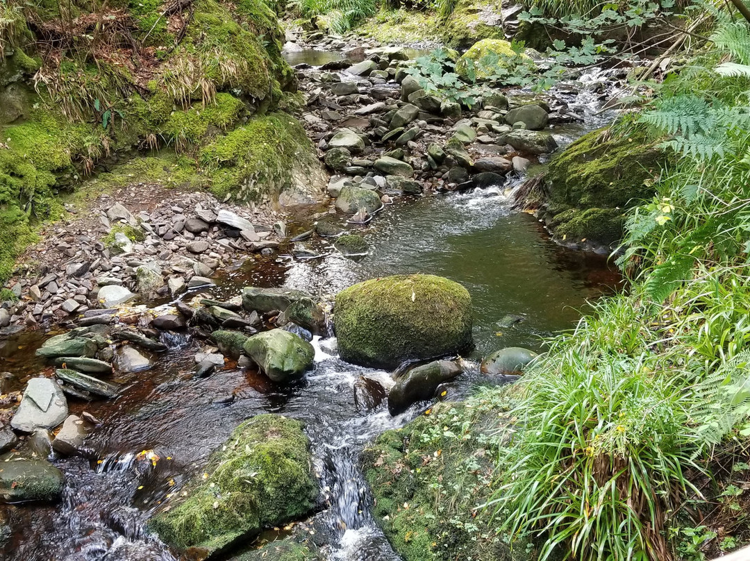 Glen Grant Whisky Distillery and Garden景点图片