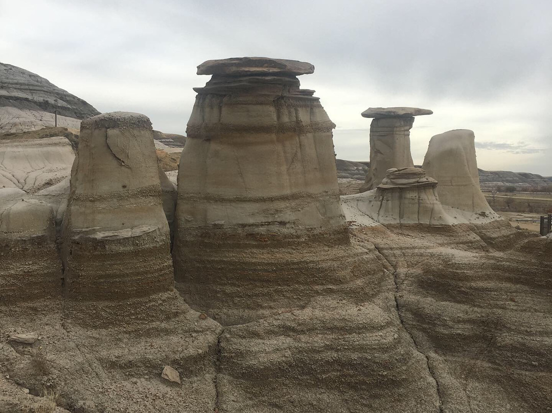 Wild West Badlands Tours-德兰赫勒必去景点