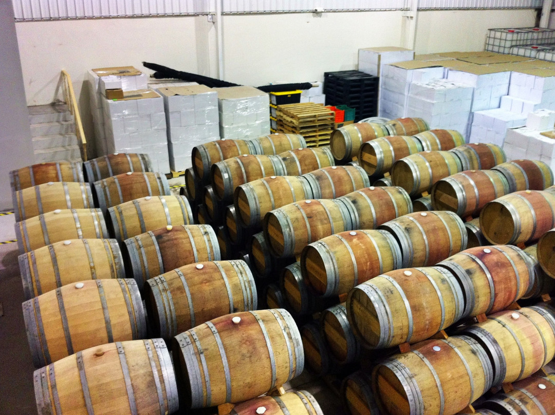 Vinicola Punto & Aparte