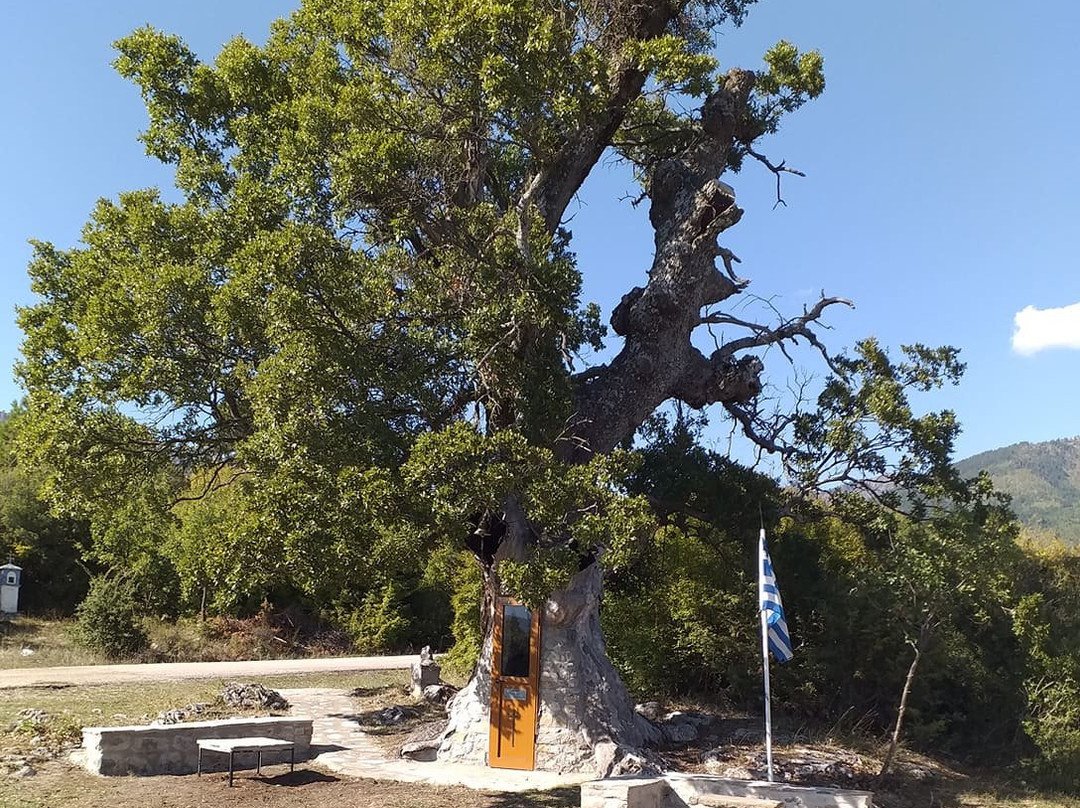 Tree Chapel Saint Paissiou-Agia Varvara必去景点