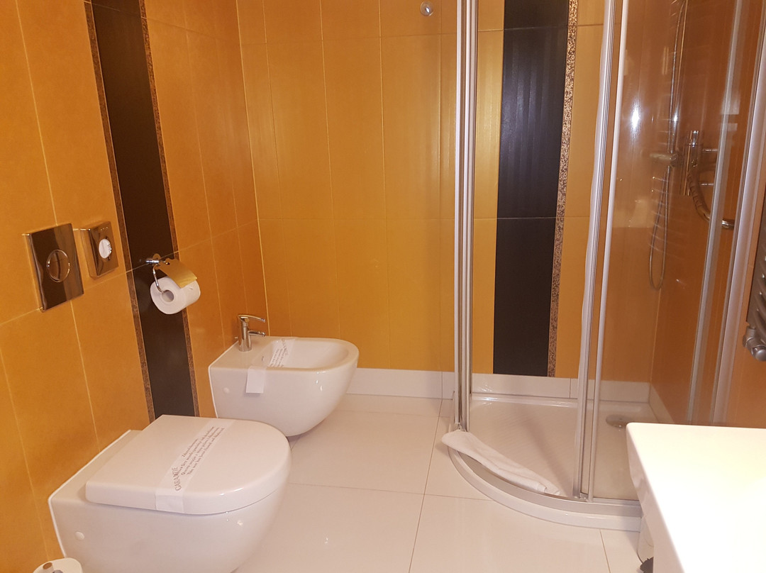 Malinowy Dwor Hotel Medical SPA主图