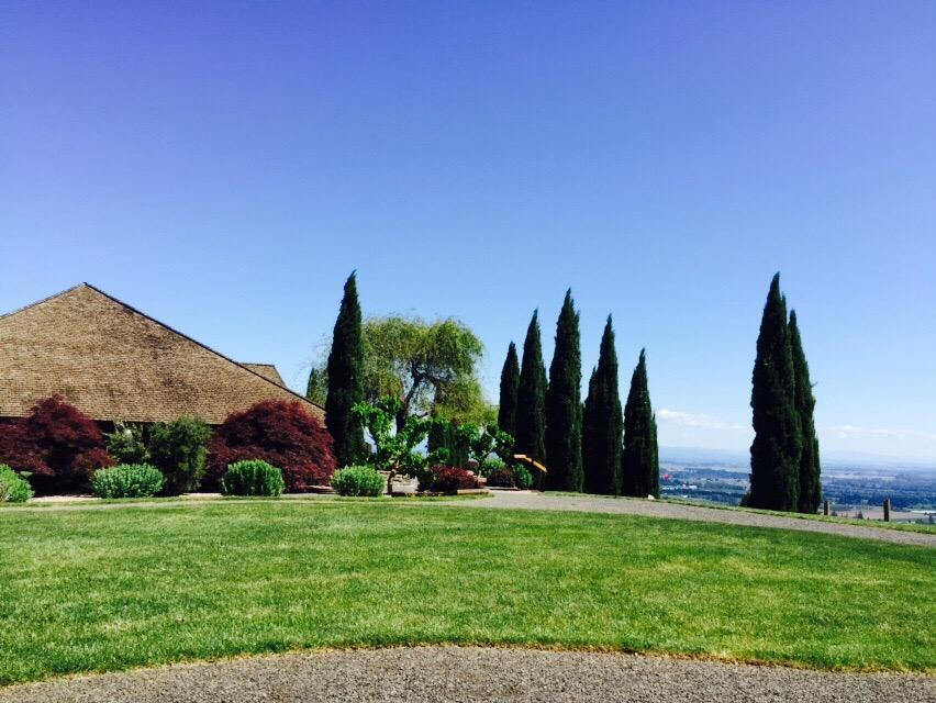 White Rose Estate Winery And Vineyard