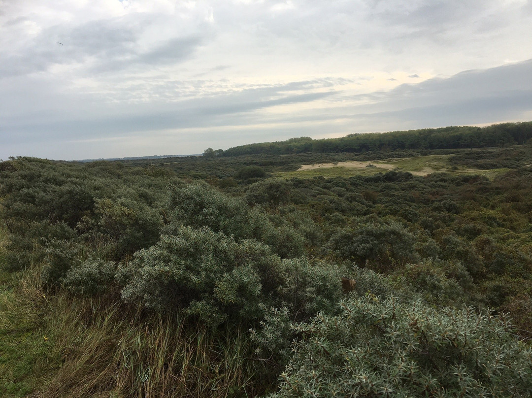 Het Zwin Natuur Park景点图片