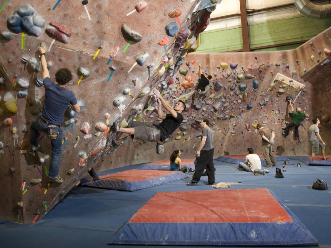 Timonium旅游景点-Earth Treks Climbing Center