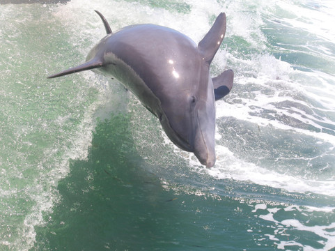 Salty Water Tours, LLC