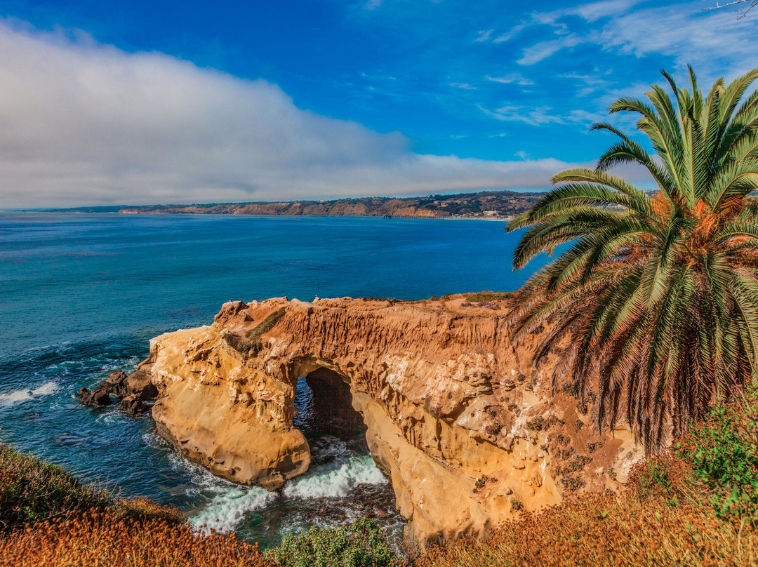 Cove Wellness Detox Spa of La Jolla-拉荷亚必去景点