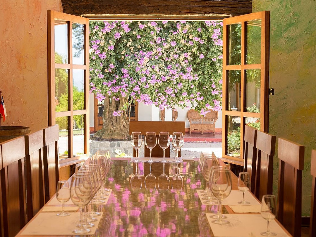 Vinedos Torreon de Paredes-Rengo必去景点